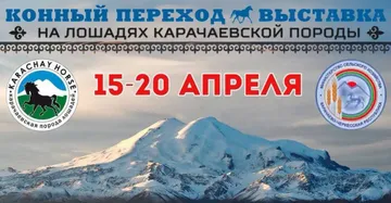 Конный переход 2024 и выставка в Карачаево-Черкессии (источник: Минсельхоз КЧР)