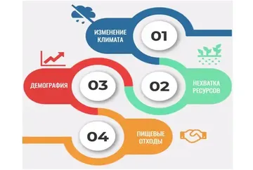 ТОП-4 основные области, на которые стоит обратить внимание согласно отчету «Сельское хозяйство 4.0 — будущее сельскохозяйственных технологий» (источник: a2seven.ru)