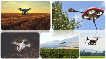 Необычное применение дронов в сельском хозяйстве