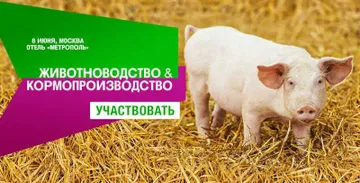 Конференция «Животноводство & кормопроизводство» (источник: Agrotrend.ru)