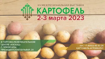 XV межрегиональная выставка «Картофель-2023» (источник: agro.cap.ru)
