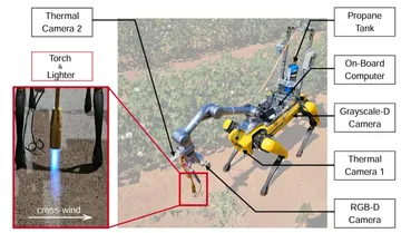 Робот Spot от Boston Dynamics, оборудованный умными решениями для борьбы с сорняками в полях (источник: Di Wang et al., arXiv / bostondynamics.com)