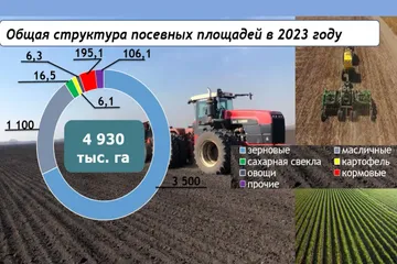 Общая структура посевных площадей к 2023 году