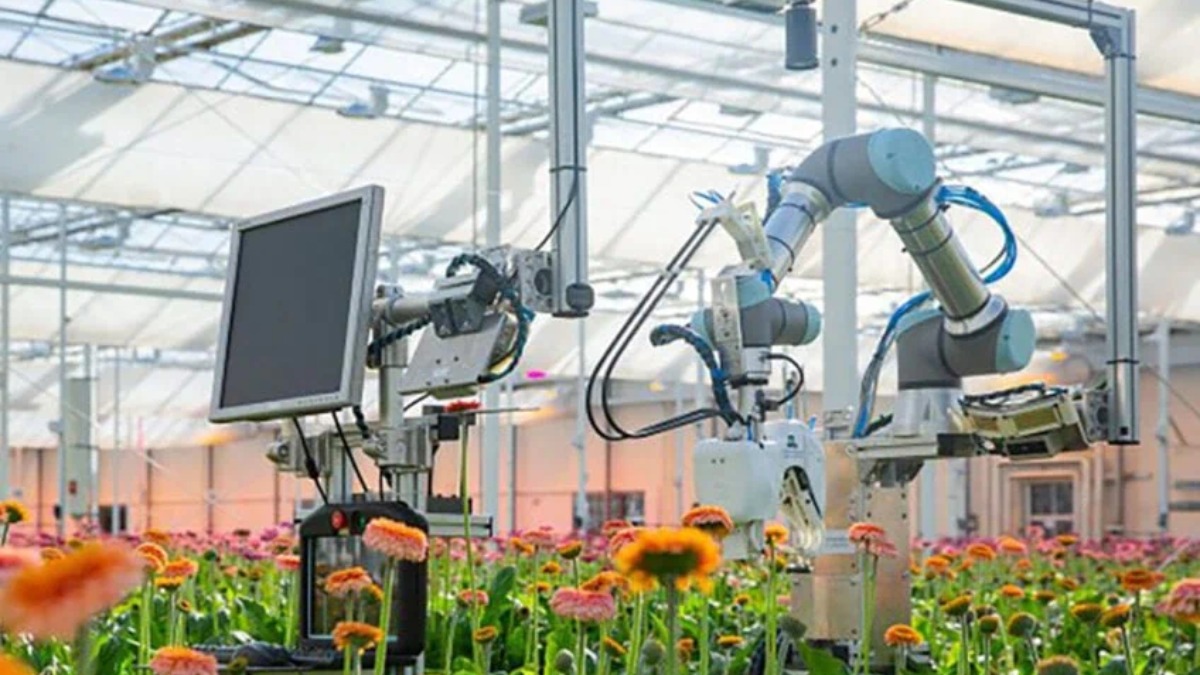 Фото по запросу Современные роботы цветы