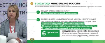 Подведение итогов работы Минсельхоза России за 2022 год