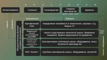 Схема специального координационного центра, признаваемого всеми участниками процесса (источник: kolnag.ru)