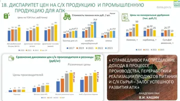 Диспаритет цен на сельскохозяйственную и промышленную продукцию (источник: скриншот с видеотрансляции duma.gov.ru / пресс-служба ГосДумы РФ)