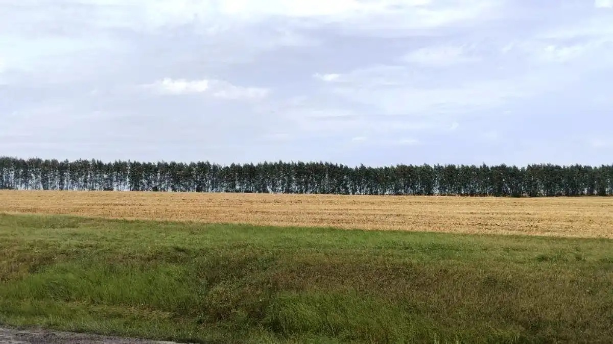 Земли сельскохозяйственного назначения
