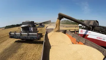 Уборка урожая зерновых на полях группы компаний «Агро-Белогорье» 