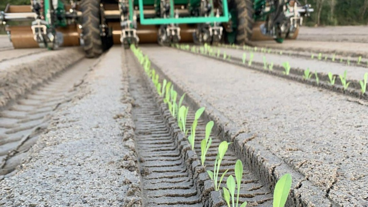 Новая техника PlantTape в работе