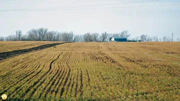 Сельское хозяйство в Чувашии