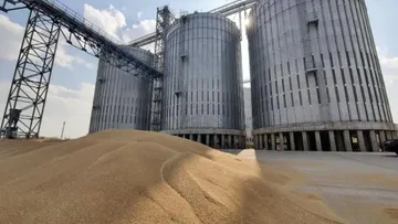 Новый зерновой элеватор для хранения 46 тысяч тонн зерна в Нижегородской области