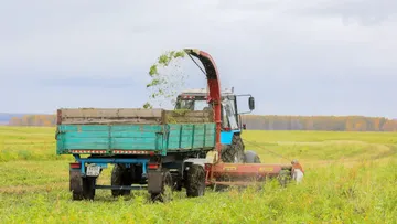 Заготовка кормов в Красноярском крае