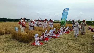 Традиционный аграрный праздник на Дне Брянского поля 2023