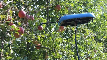 Летающие роботы для уборки фруктов