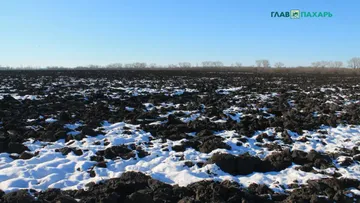 Фотография носит иллюстративный характер