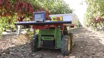 Робот для садов и виноградников Burro 