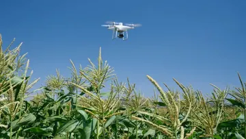 Мониторинг сельхозугодий дроном из продуктового портфеля Skymec на полях с высокостебельными культурами 
