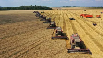 Уборка зерновых в Курской области
