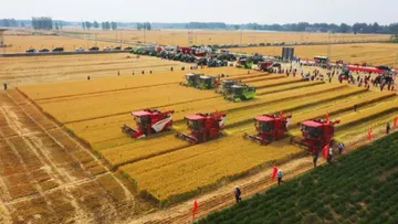 Демопоказ беспилотной сельхозтехники Lovol в Китае