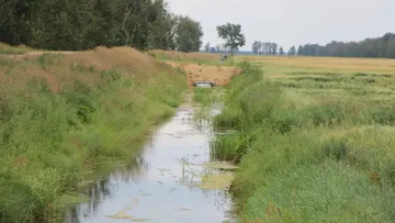 Мелиоративные каналы в Беларуси