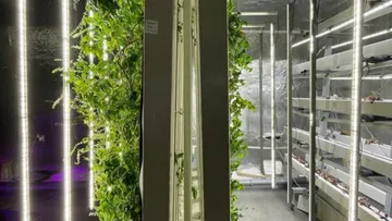 Новое поколение сити-ферм из композитных материалов резидента Сколково  Healthy Garden