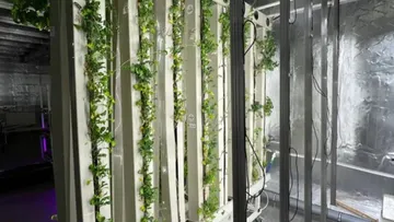 Инновационные установки для гидропоники резидента Сколково Healthy Garden из композитных материалов