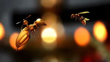 Робопчелы или настоящие пчелы: о преимуществах и недостатках
