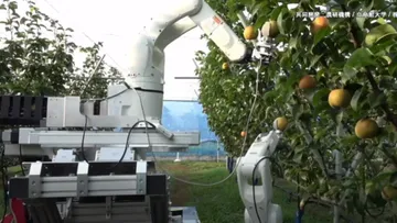 Новая роботизированная технология NARO для сбора урожая фруктов