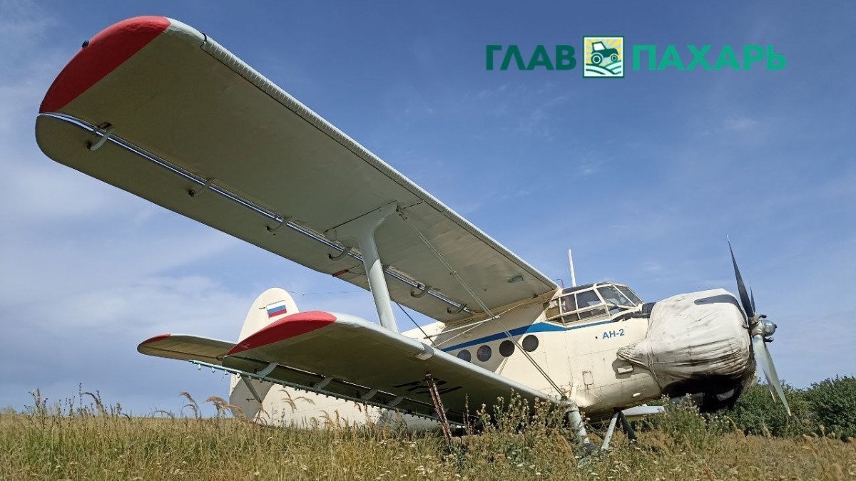 Самолет «кукурузник» Ан-2 (фото иллюстративное) 