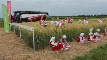 Праздничные гуляния в рамках выставки День Брянского поля (фото архивное)