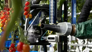 Новый робот для сбора томатов GR-100 компании Syngenta