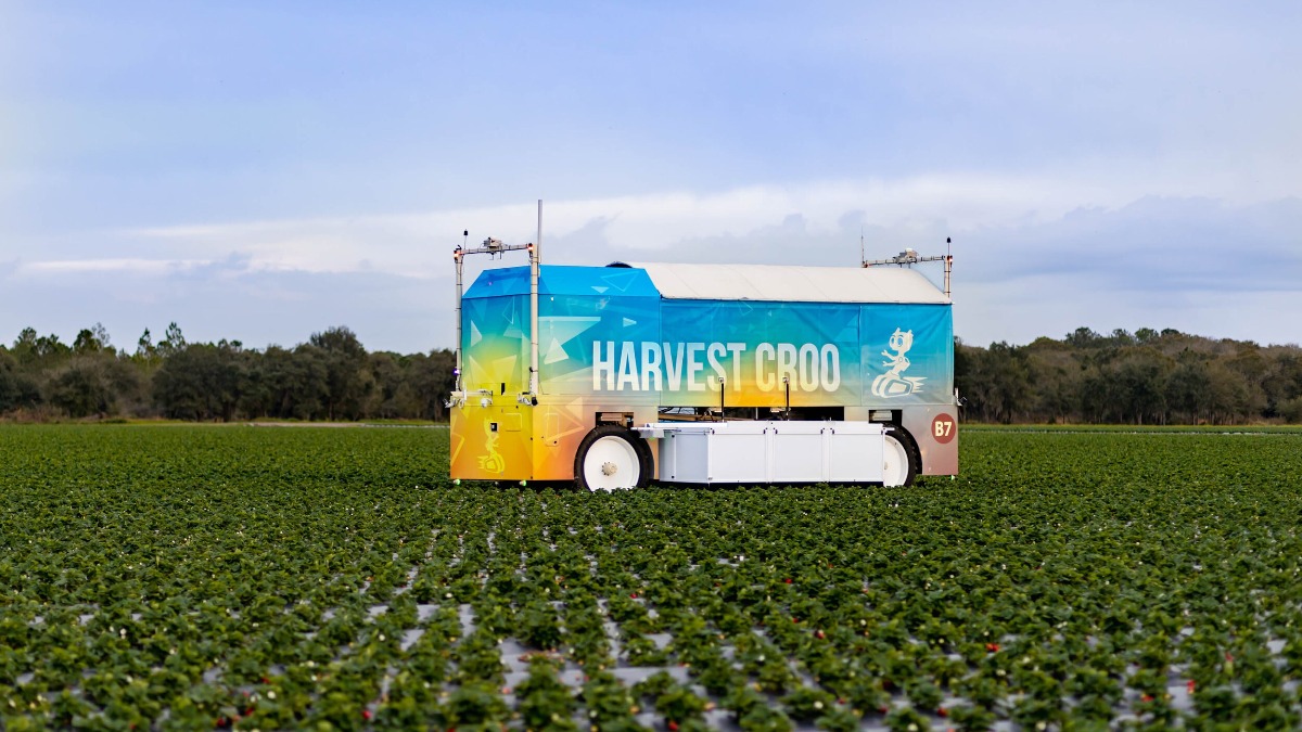 Новый робот для сбора земляники садовой Harvest CROO Robotics