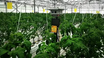 Роботизированная платформа для защиты тепличных растений от болезней от Мичуринского ГАУ