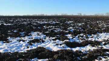 Земли сельскохозяйственного назначения, введенные в оборот