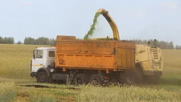 Заготовка зерносенажа кормоуборочным комбайном Krone BiG X серии 650