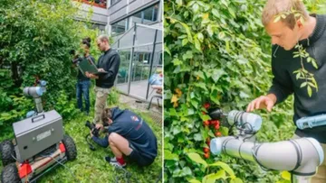 Искусственный интеллект ChatGPT в паре с европейскими учеными разработает робота-захватчика для сбора урожая томатов