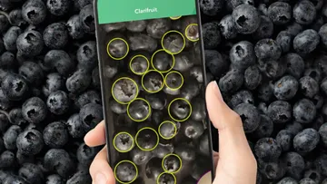 Мобильное приложение для контроля качества свежих фруктов