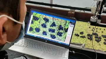 Отображение данных на ПК при работе робота для мониторинга урожая черники Labinm Robotics