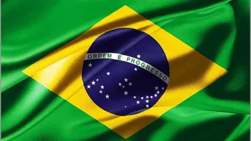 Официальный флаг Бразилии