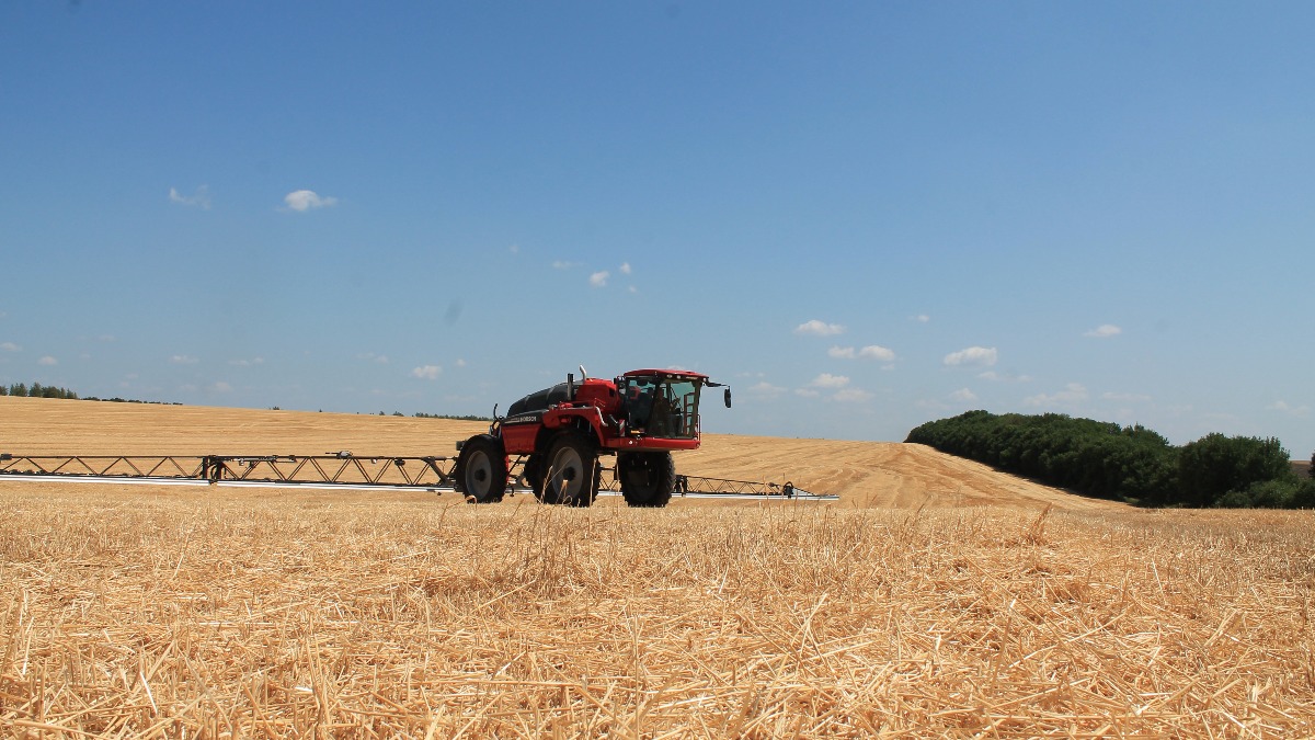 Тестируем новый Horsch Leeb 5.280 VL вместе с белгородскими аграриями -  glavpahar.ru