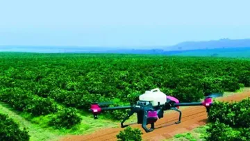 Химическая обработка дроном цитрусовых садов в Бразилии