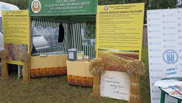 Российский сельскохозяйственный центр Брянкой области, экспозиция на Дне Брянского поля-2022