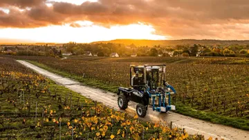 Новый портальный трактор для садов и виноградников New Holland TE6