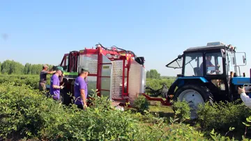 Компания «Северный сад» приобрела новый ягодоуборочный комбайн производства польской компании Weremczuk